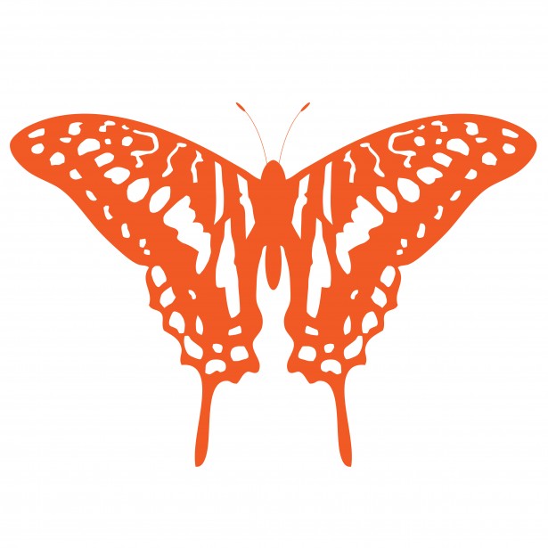 Orange butterfly clipart