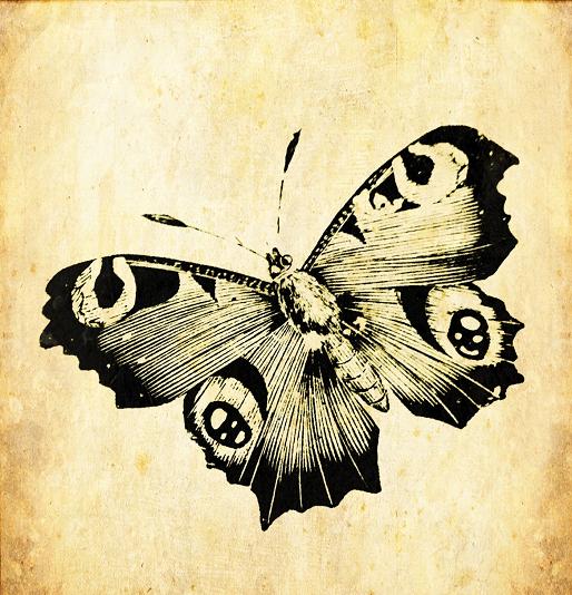 big blue and black beautiful butterfly realistic clipart image