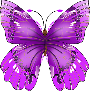 butterfly clipart graphic handwriting on wings