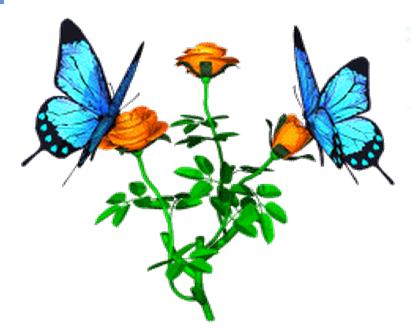 butterfly clipart