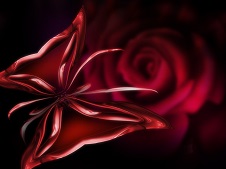 digital art red rose and red butterfly