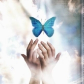 Hands reaching for blue butterfly