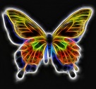 Rainbow fractal butterfly