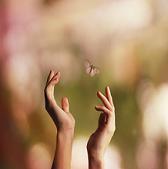 Hands reaching for butterfly