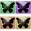 artistic butterfly art