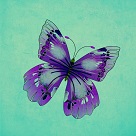Purple butterfly green background art