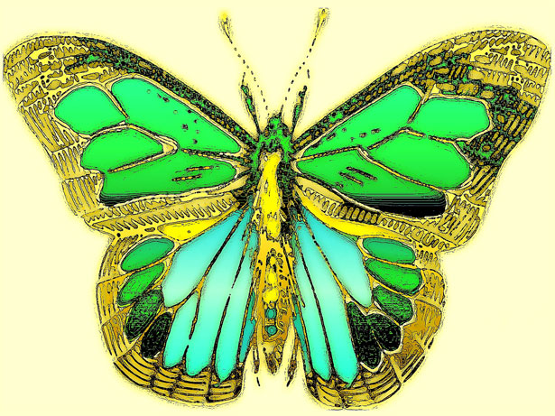 Green butterfly art