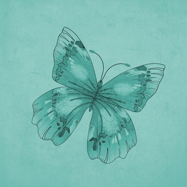 green butterfly green background art